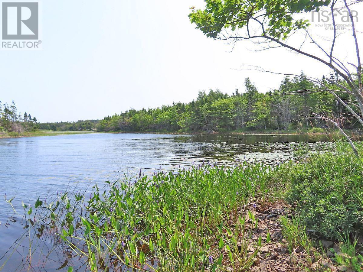 190 Acres Middle Road, Pondville, Nova Scotia  B0E 1K0 - Photo 27 - 202402690