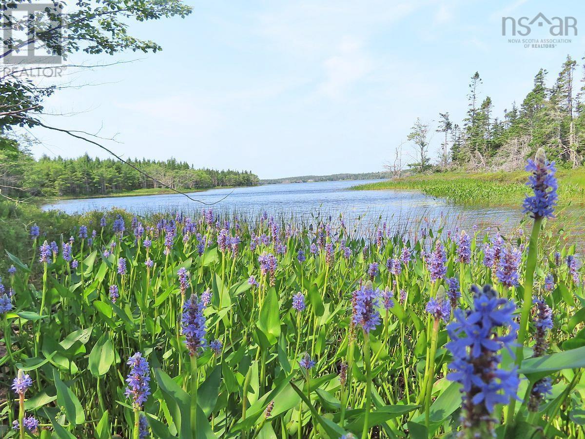 190 Acres Middle Road, Pondville, Nova Scotia  B0E 1K0 - Photo 29 - 202402690