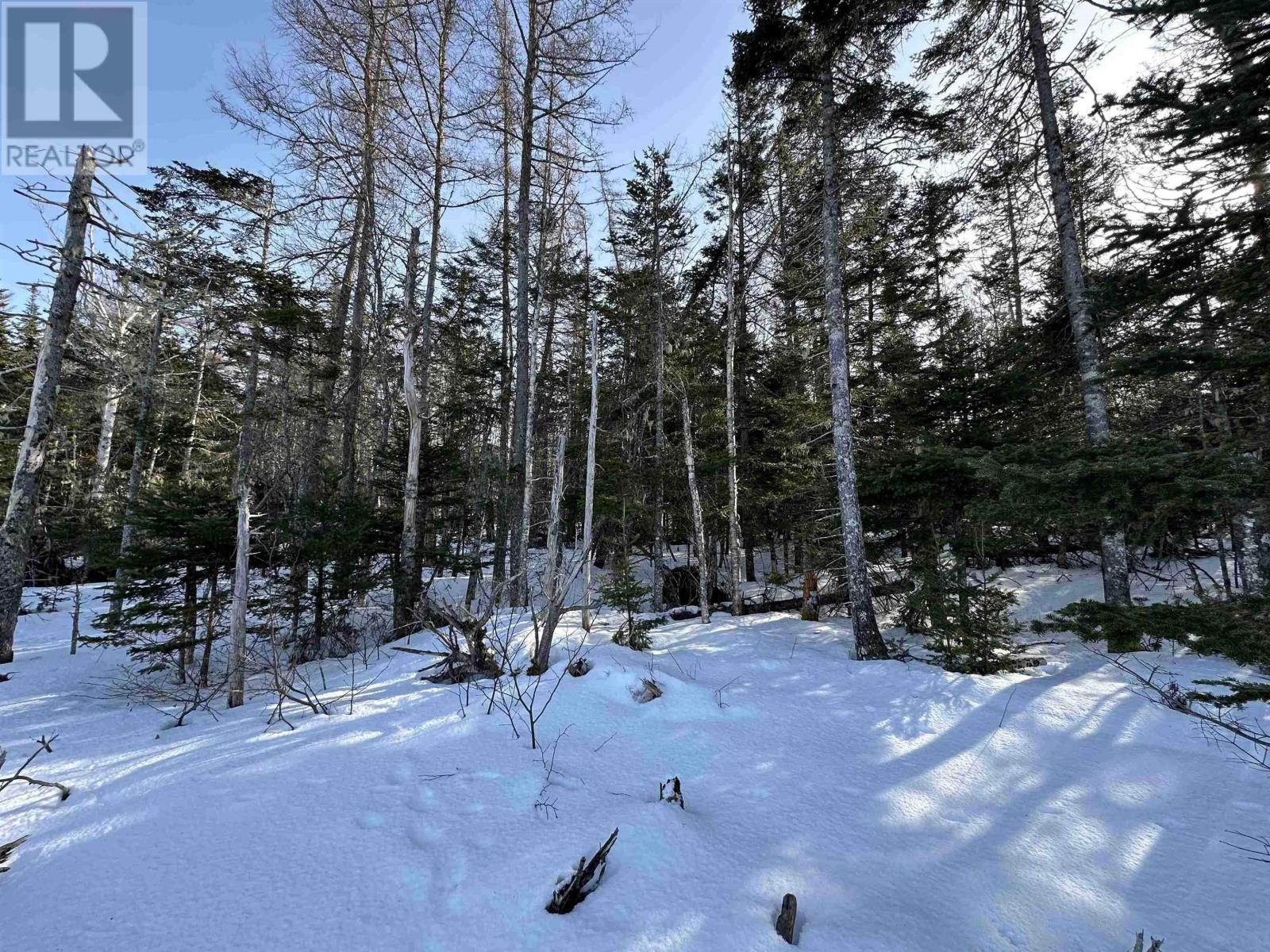 Lot 15 Golden Shore Lane, West Bay Marshes, Nova Scotia  B0E 1J0 - Photo 2 - 202402792