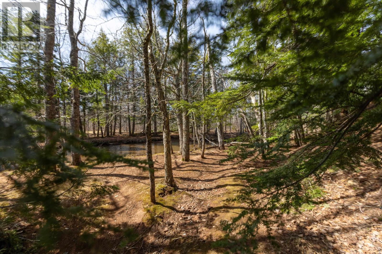 Lot 21-2 Black Spruce Lane, Wentworth, Nova Scotia  B0M 1Z0 - Photo 17 - 202402849