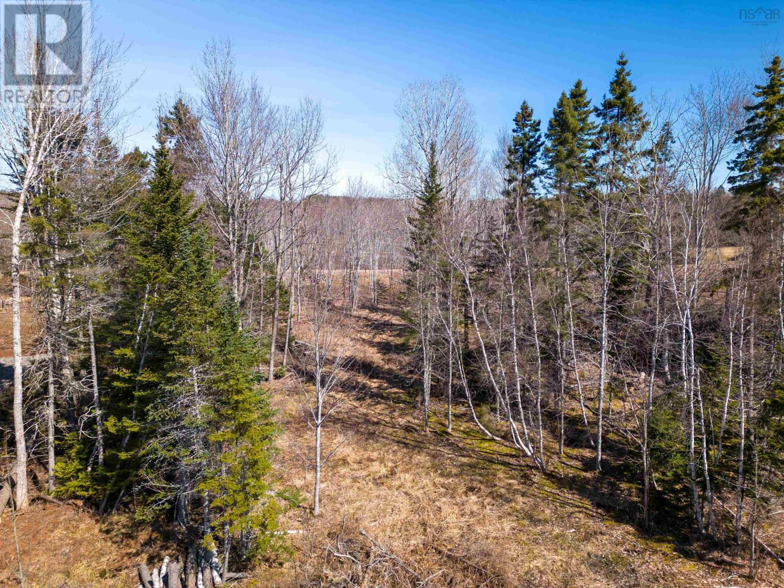 Lot 21-2 Black Spruce Lane, Wentworth, Nova Scotia  B0M 1Z0 - Photo 3 - 202402849