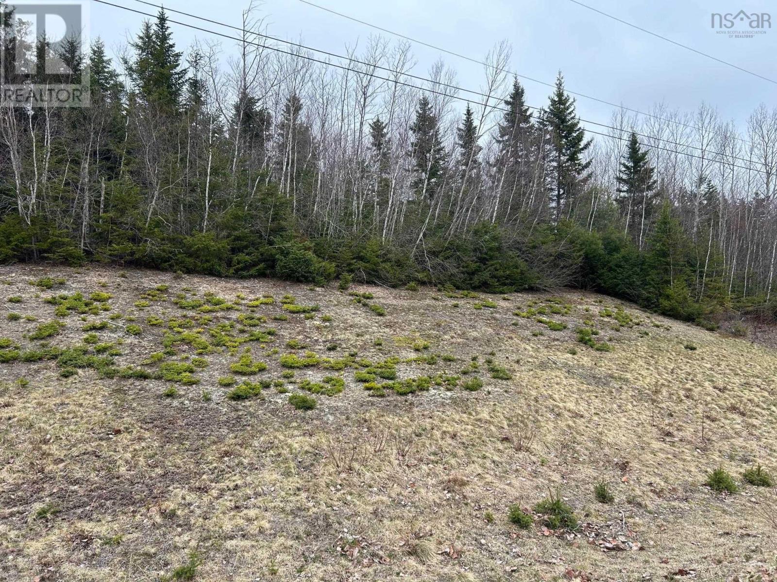 Lot 2 Little Egypt Road, Little Harbour, Nova Scotia  B2H 5C4 - Photo 3 - 202402901