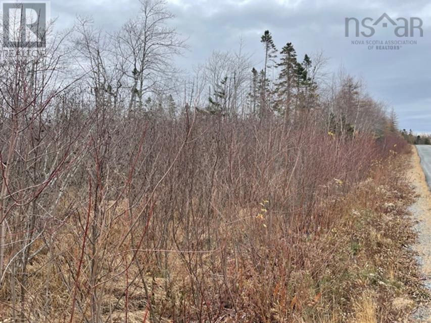 Lot Kr-1 Huey Lake Road, West Dublin, Nova Scotia  B0R 1C0 - Photo 2 - 202402991