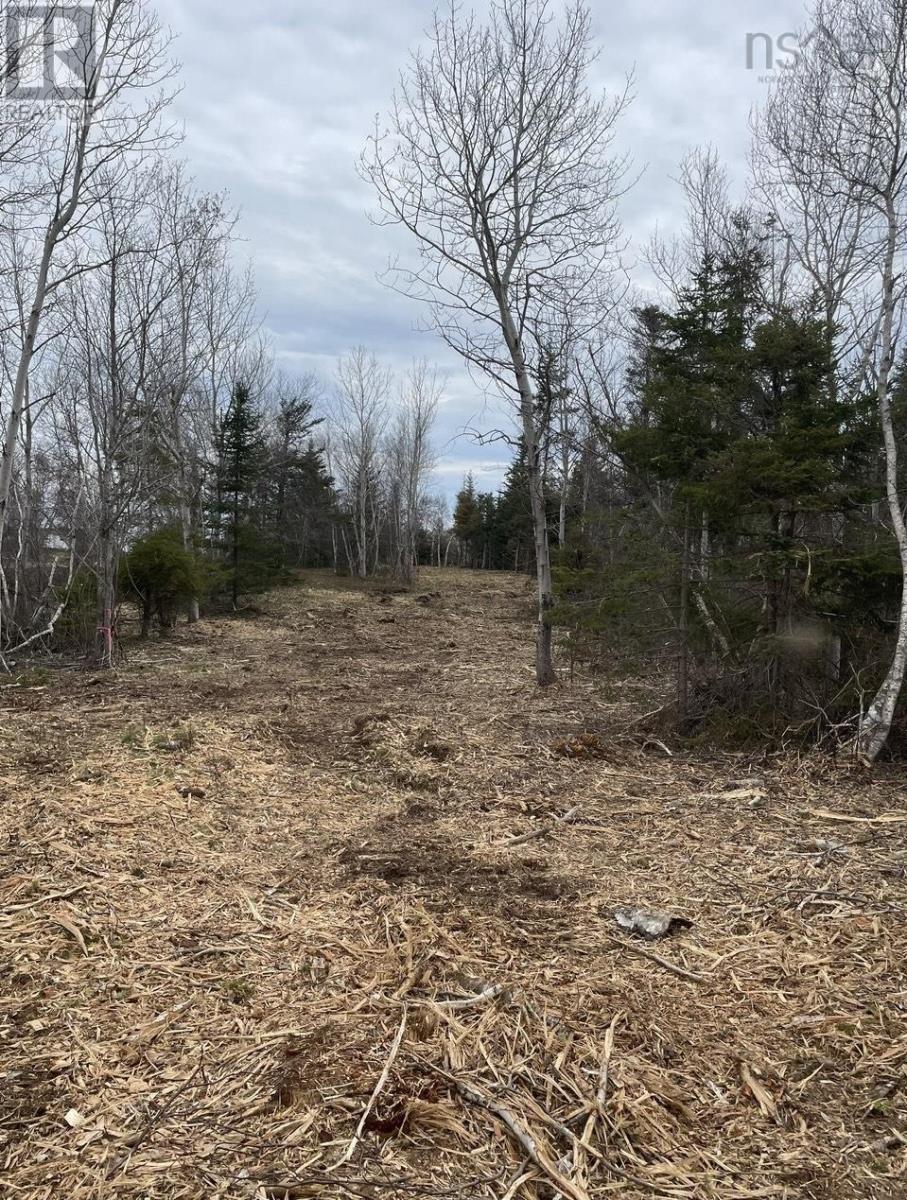 Lot 4 Shore Road, Lower Barneys River, Nova Scotia  B0K 1G0 - Photo 6 - 202403031