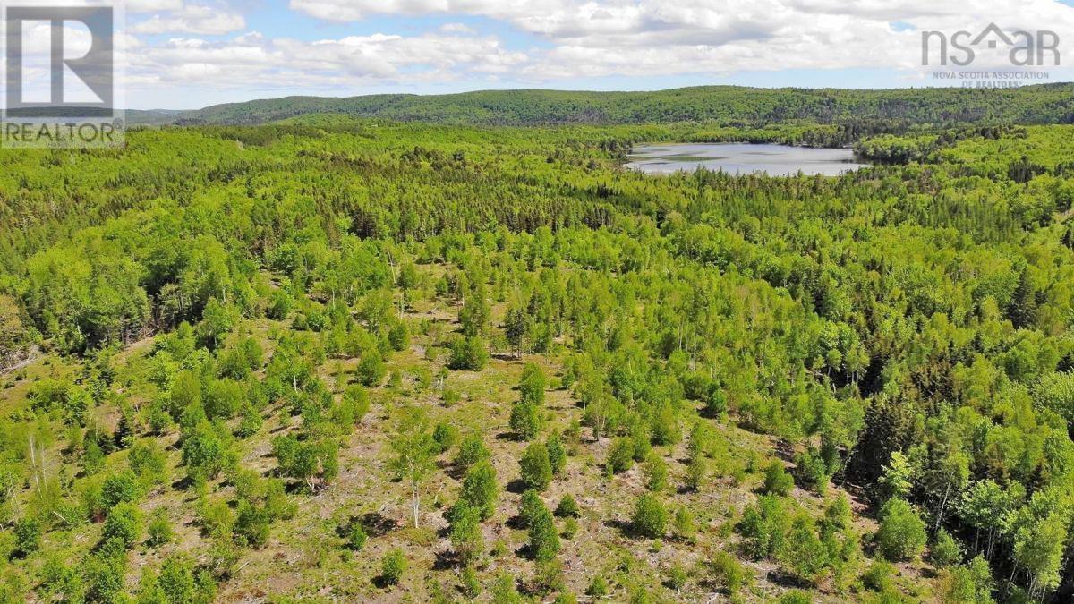 116.5 Acres 348 Highway, West River Road, Smithfield, Nova Scotia  B0H 1E0 - Photo 13 - 202403305