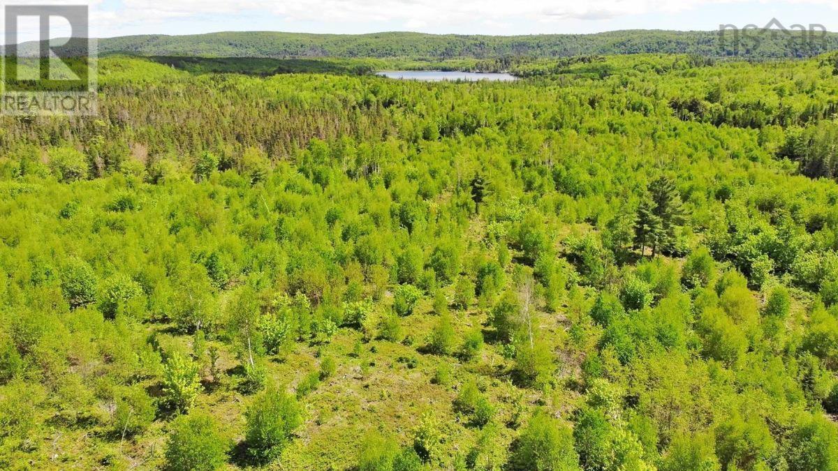 116.5 Acres 348 Highway, West River Road, Smithfield, Nova Scotia  B0H 1E0 - Photo 14 - 202403305