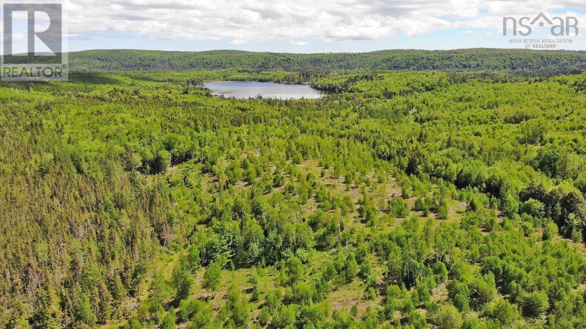 116.5 Acres 348 Highway, West River Road, Smithfield, Nova Scotia  B0H 1E0 - Photo 15 - 202403305