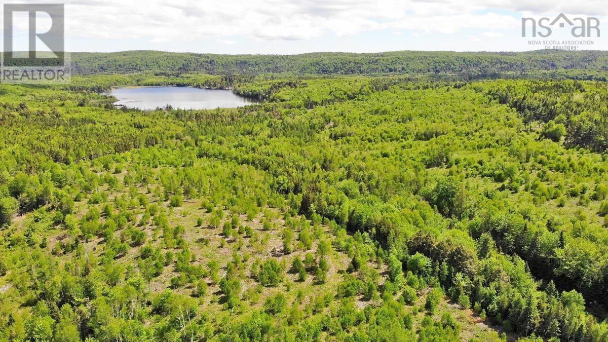 116.5 Acres 348 Highway, West River Road, Smithfield, Nova Scotia  B0H 1E0 - Photo 16 - 202403305