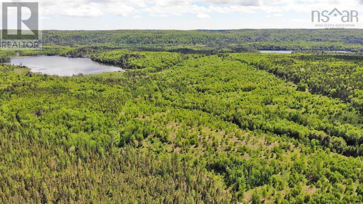 116.5 Acres 348 Highway, West River Road, Smithfield, Nova Scotia  B0H 1E0 - Photo 17 - 202403305