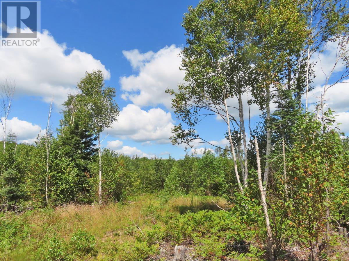 116.5 Acres 348 Highway, West River Road, Smithfield, Nova Scotia  B0H 1E0 - Photo 24 - 202403305