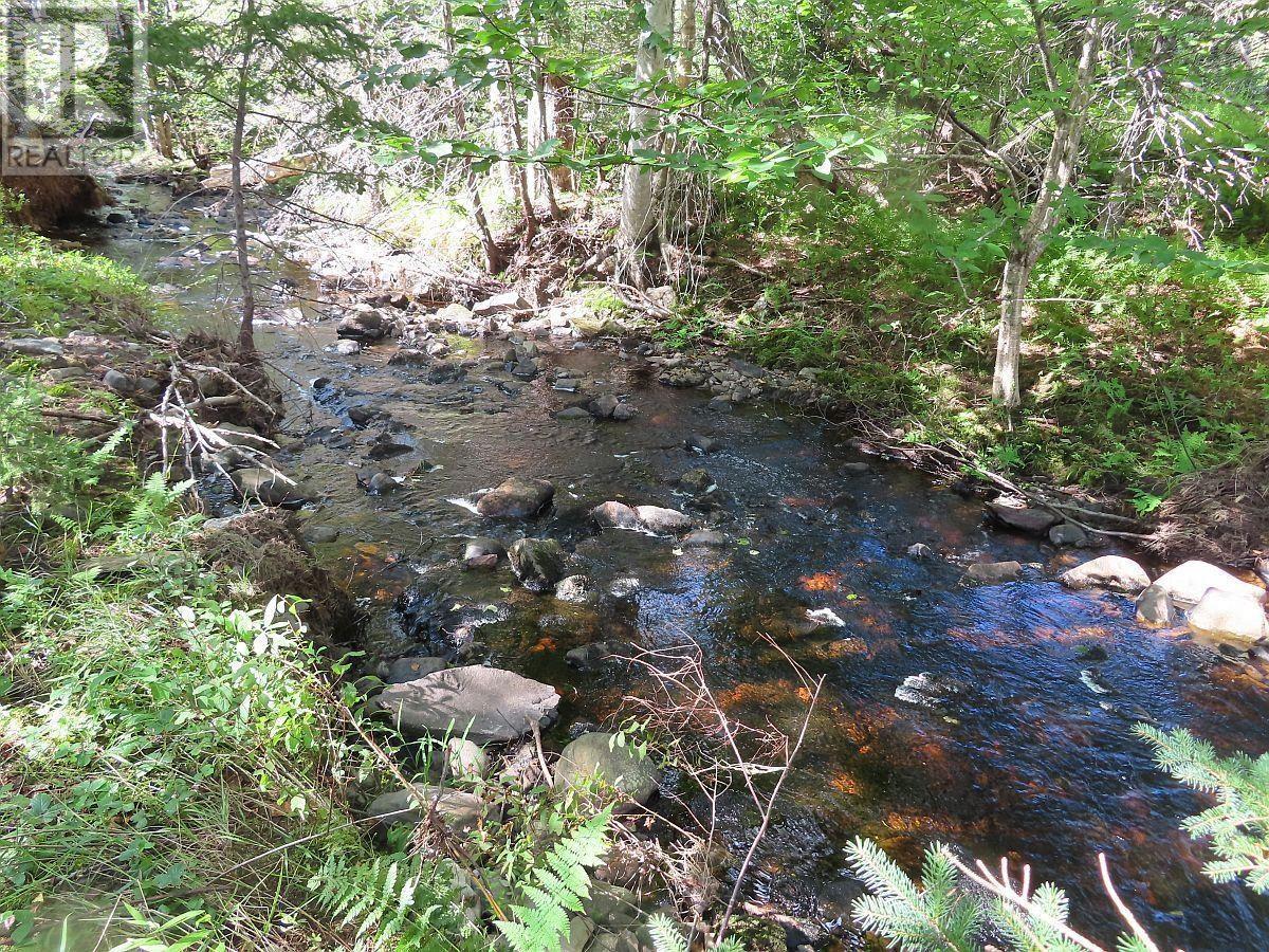 116.5 Acres 348 Highway, West River Road, Smithfield, Nova Scotia  B0H 1E0 - Photo 26 - 202403305