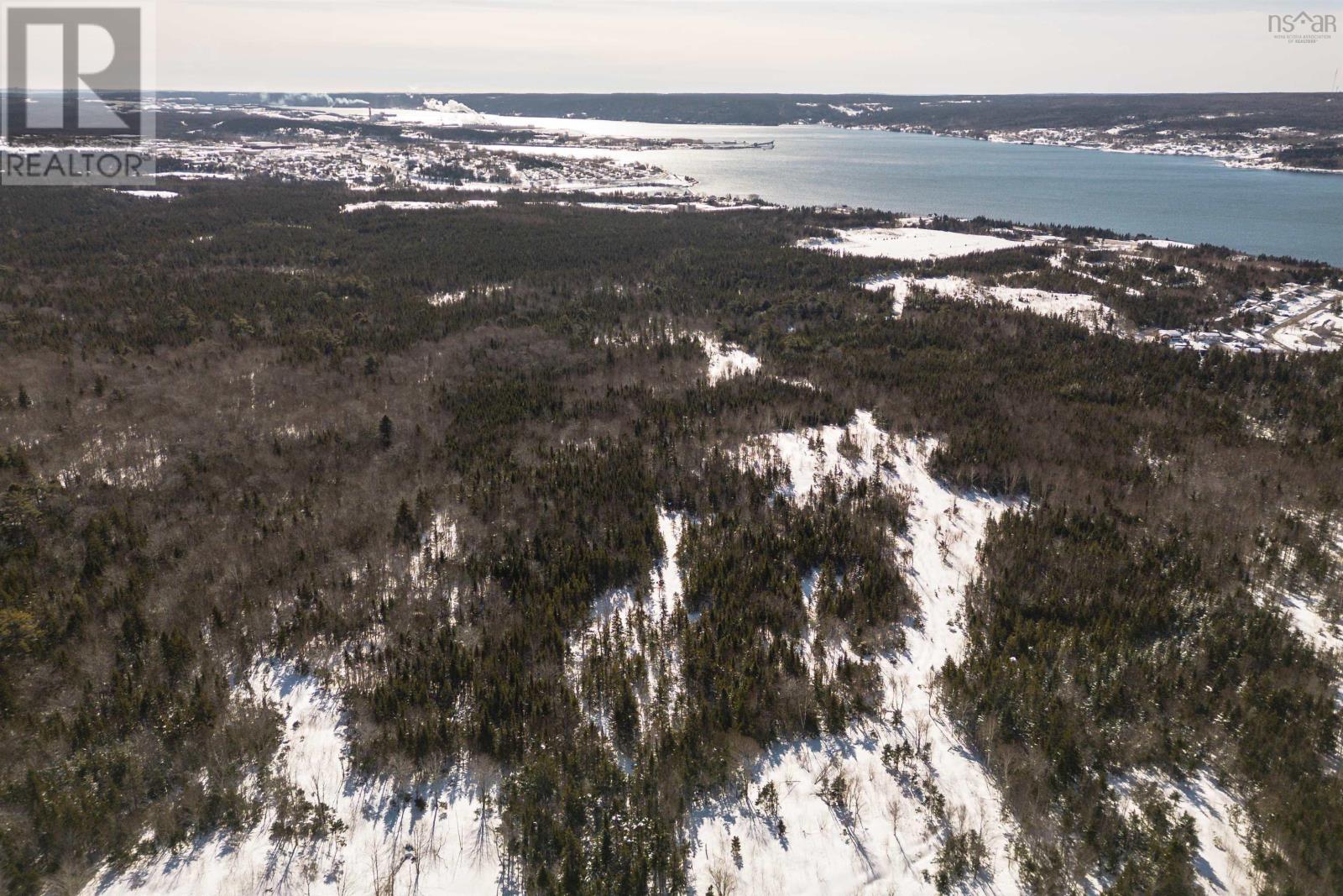 Charles Maclean Road, Port Hastings, Nova Scotia  B9A 1N7 - Photo 15 - 202403314