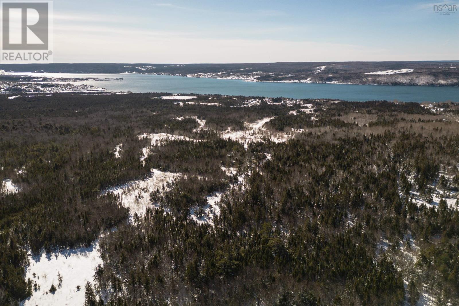 Charles Maclean Road, Port Hastings, Nova Scotia  B9A 1N7 - Photo 18 - 202403314