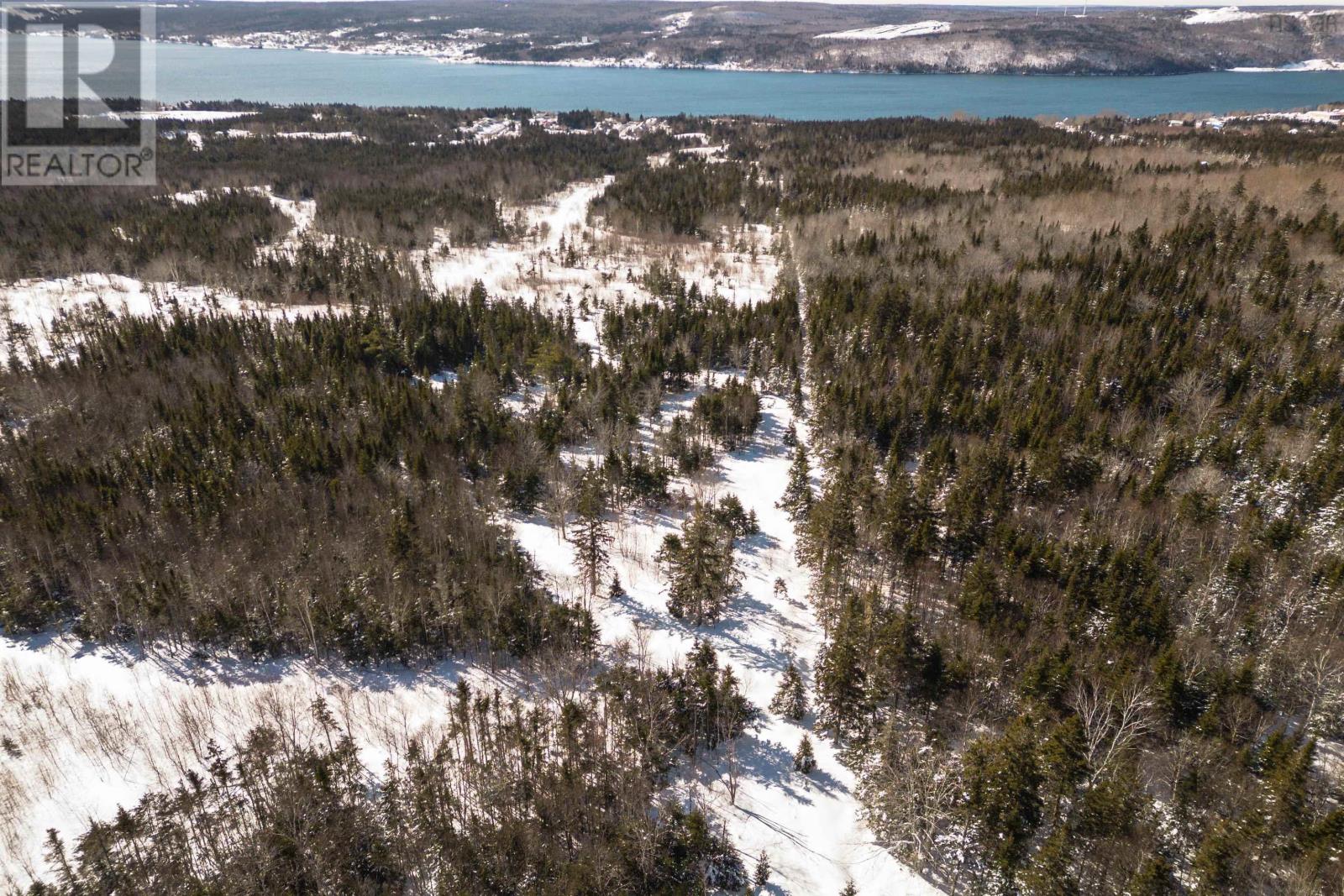 Charles Maclean Road, Port Hastings, Nova Scotia  B9A 1N7 - Photo 19 - 202403314