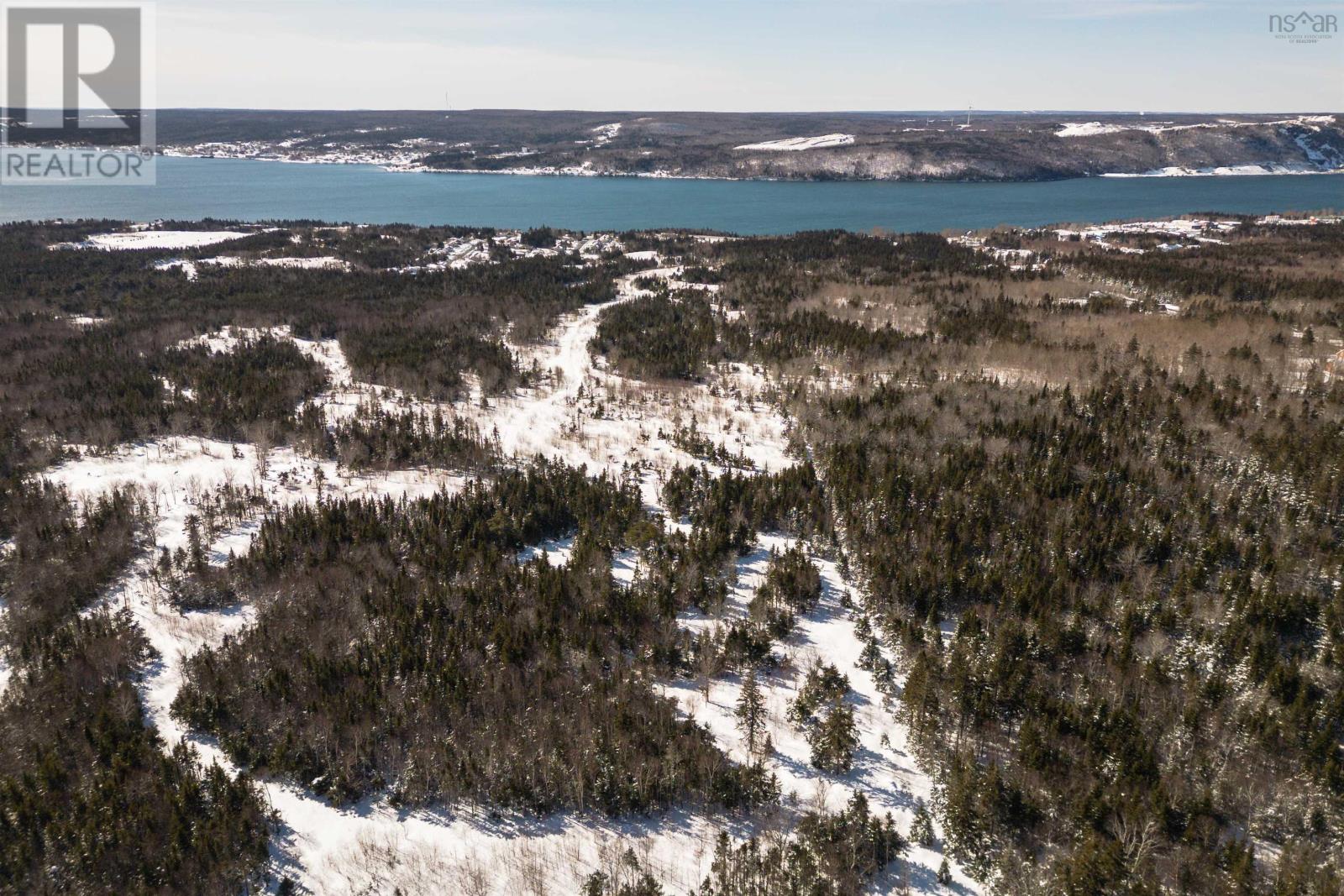 Charles Maclean Road, Port Hastings, Nova Scotia  B9A 1N7 - Photo 2 - 202403314