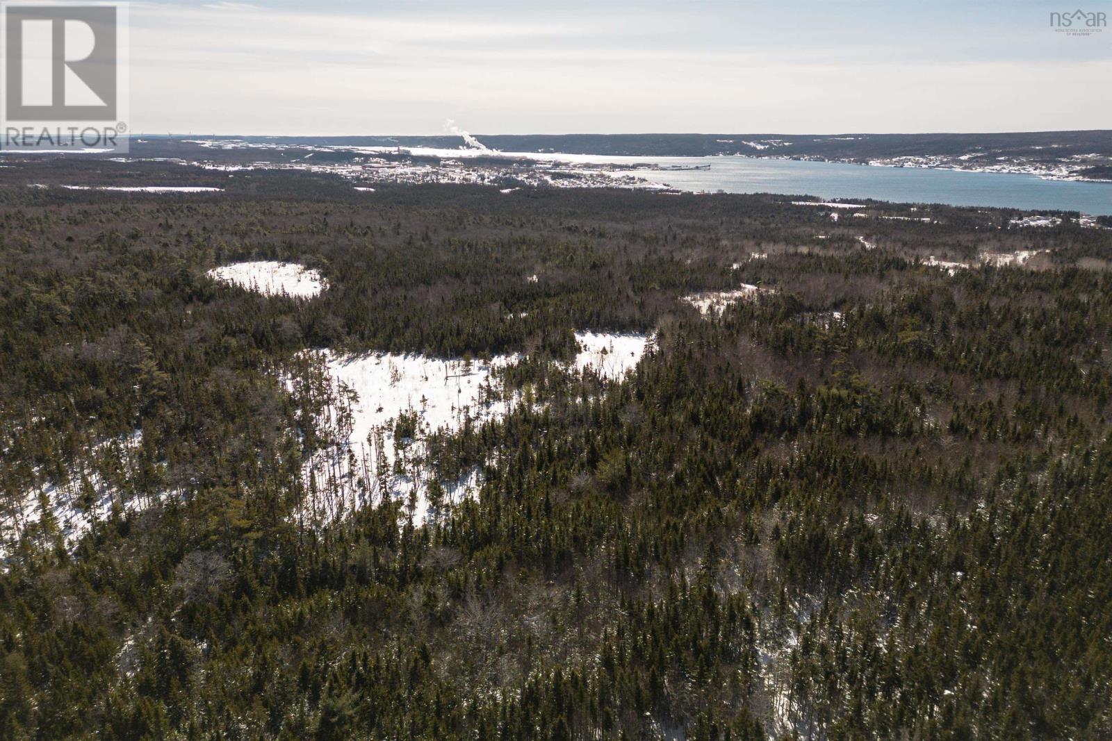 Charles Maclean Road, Port Hastings, Nova Scotia  B9A 1N7 - Photo 22 - 202403314