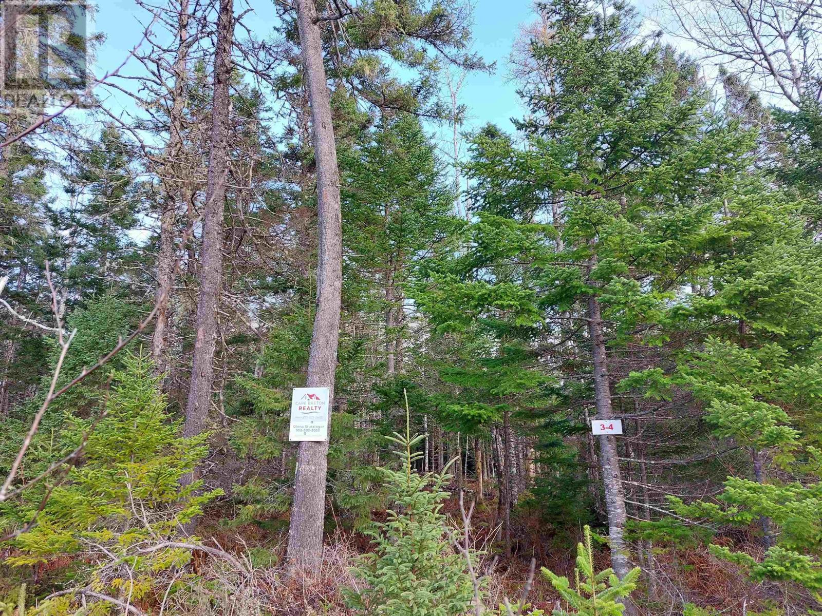 Lot 3 Tranquil Shore Road, Marshes (West Bay), Nova Scotia  B0E 1V0 - Photo 13 - 202403366