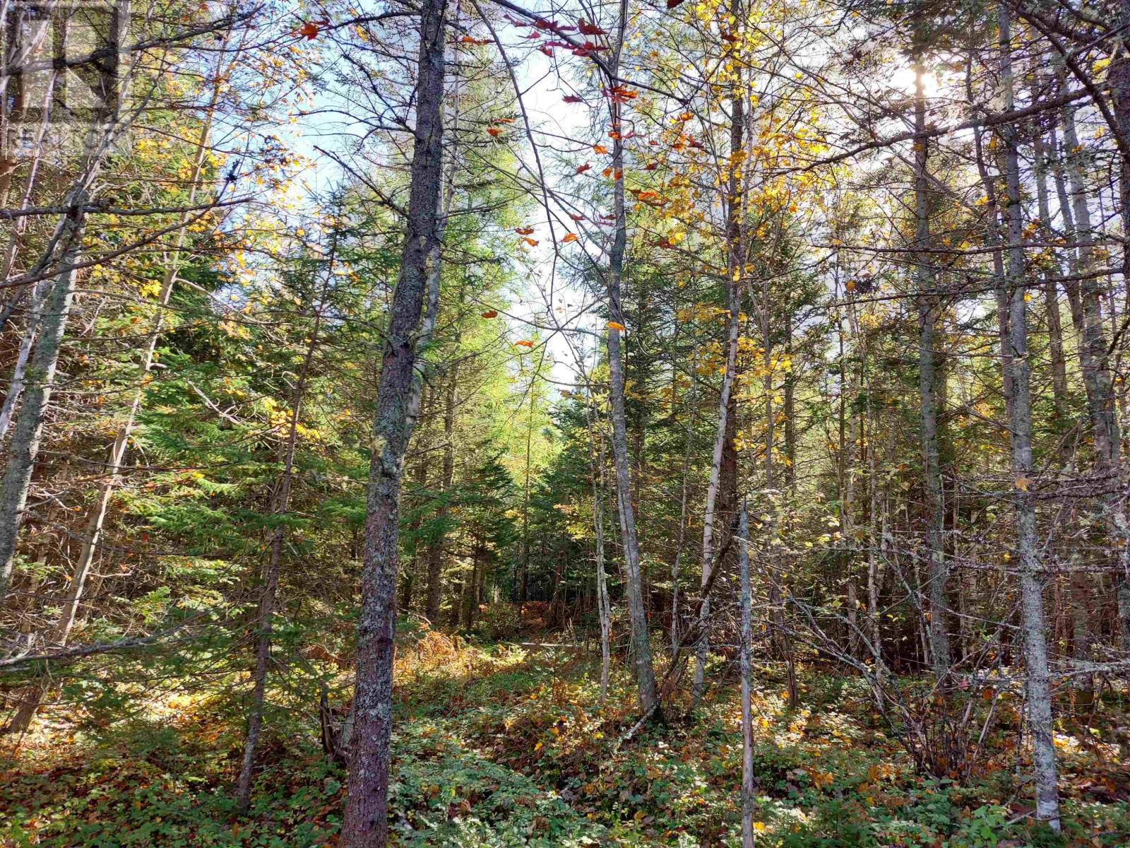 Lot 3 Tranquil Shore Road, Marshes (West Bay), Nova Scotia  B0E 1V0 - Photo 8 - 202403366