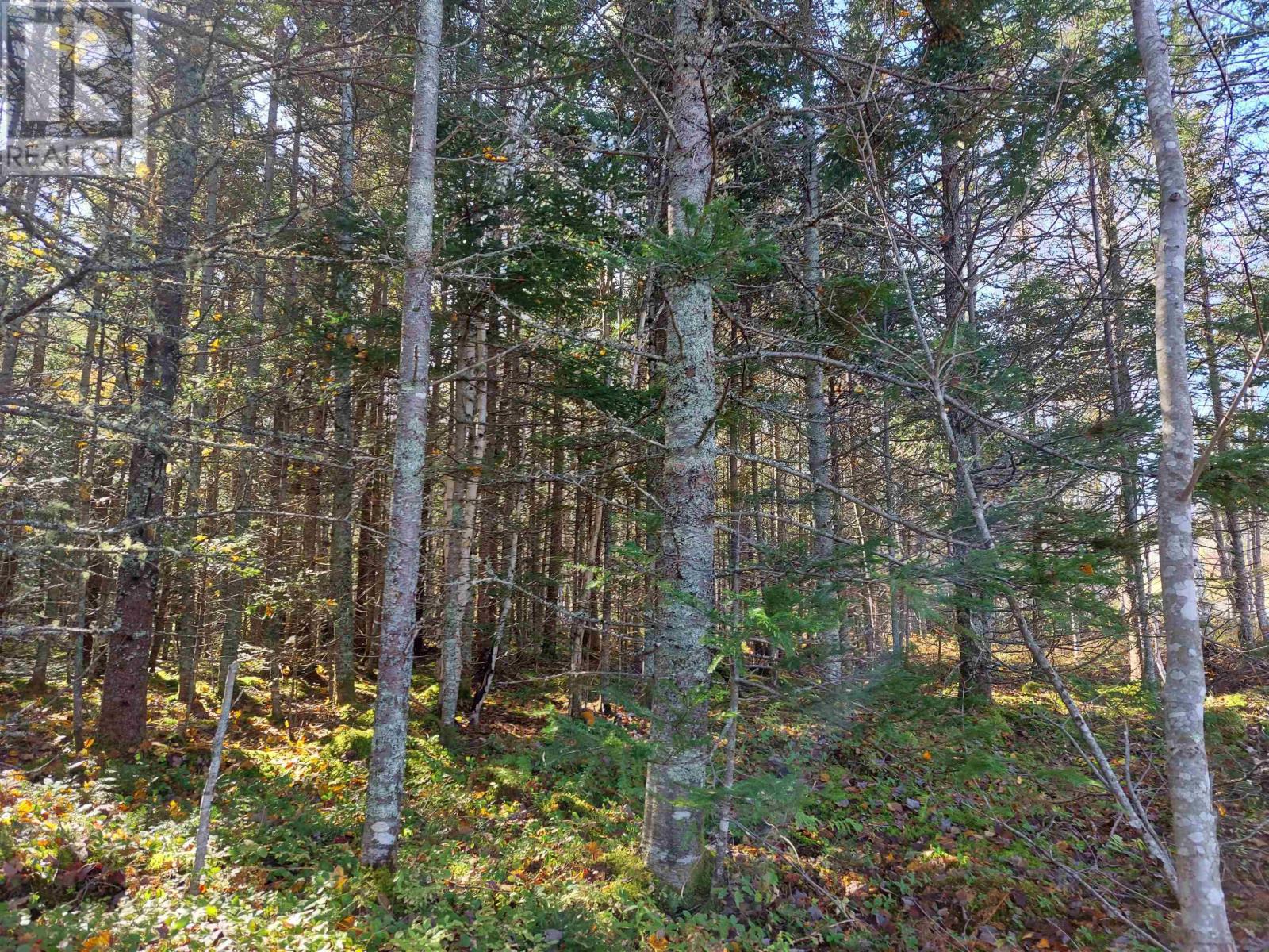 Lot 3 Tranquil Shore Road, Marshes (West Bay), Nova Scotia  B0E 1V0 - Photo 9 - 202403366