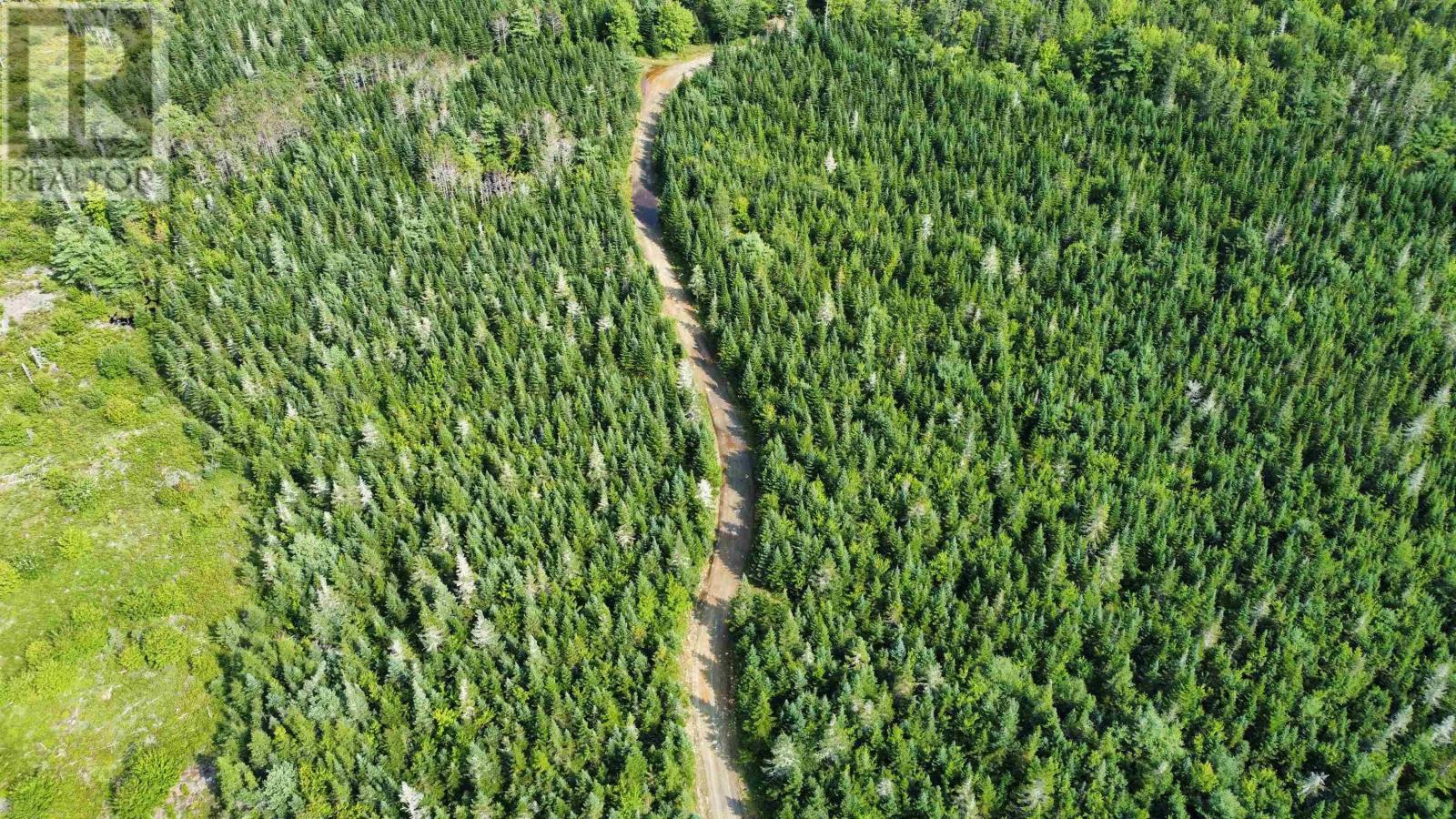 Lots Hill Road, Beech Hill Farms, Nova Scotia  B0T 1G0 - Photo 5 - 202403378