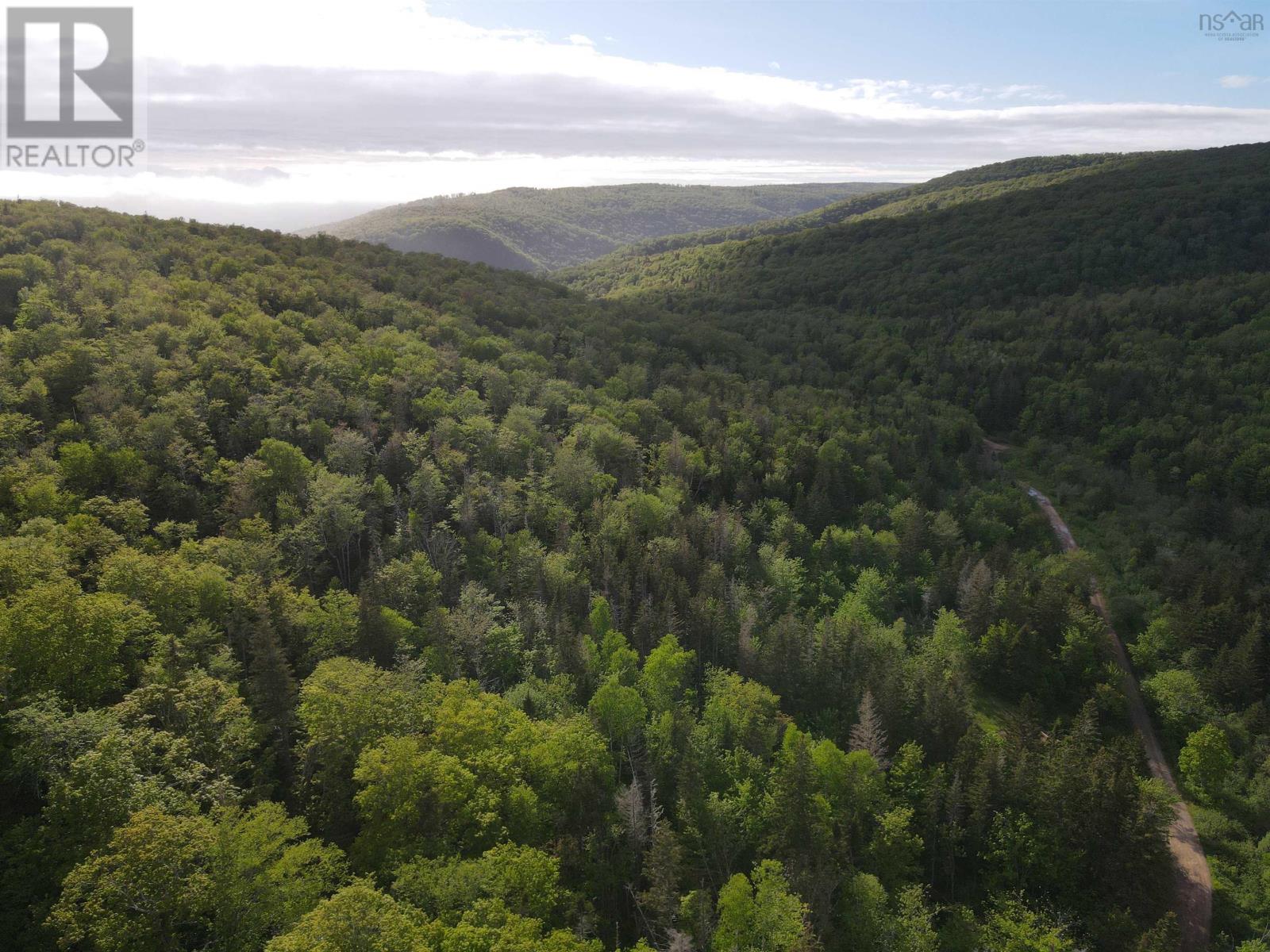 19564 Marsh Brook Road, Margaree Valley, Nova Scotia  B0E 2C0 - Photo 3 - 202403434