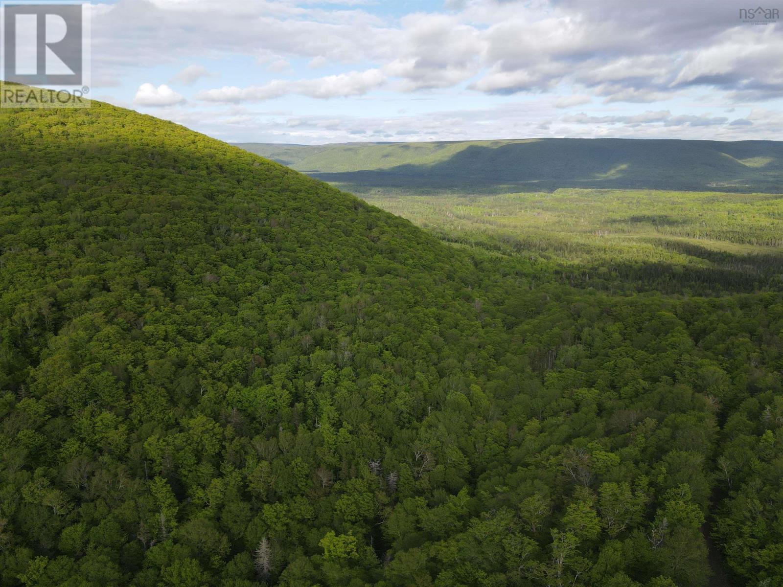 19564 Marsh Brook Road, Margaree Valley, Nova Scotia  B0E 2C0 - Photo 4 - 202403434