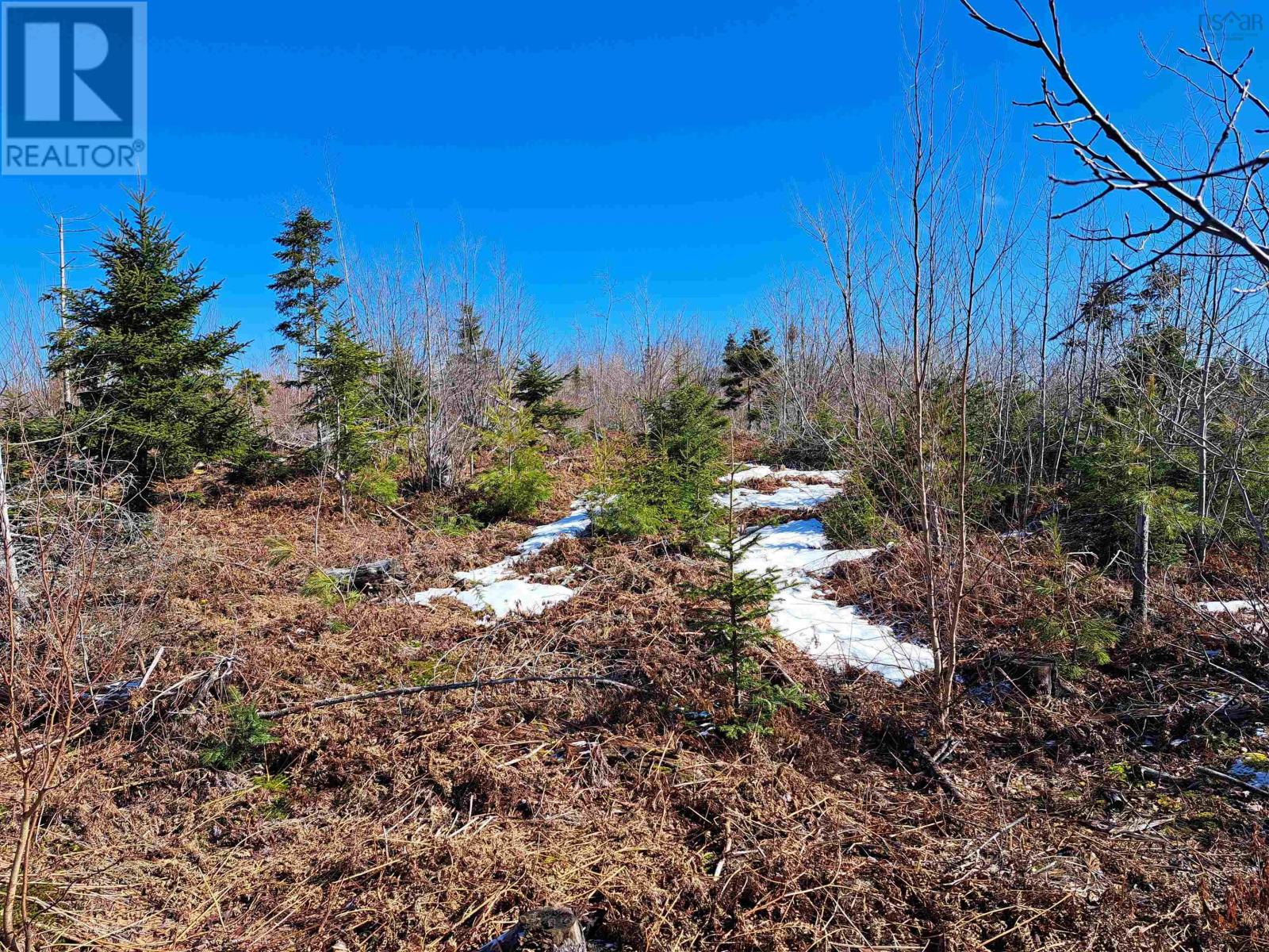 Jim Bailey Road, Keeble, Nova Scotia  B0K 1V0 - Photo 10 - 202403485