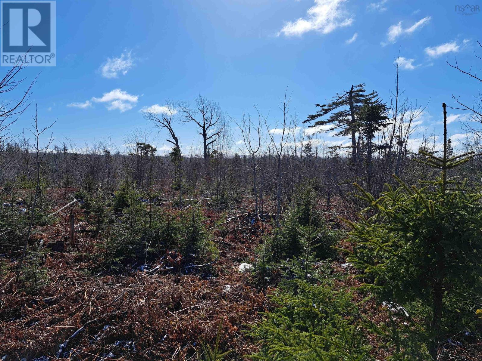 Jim Bailey Road, Keeble, Nova Scotia  B0K 1V0 - Photo 11 - 202403485