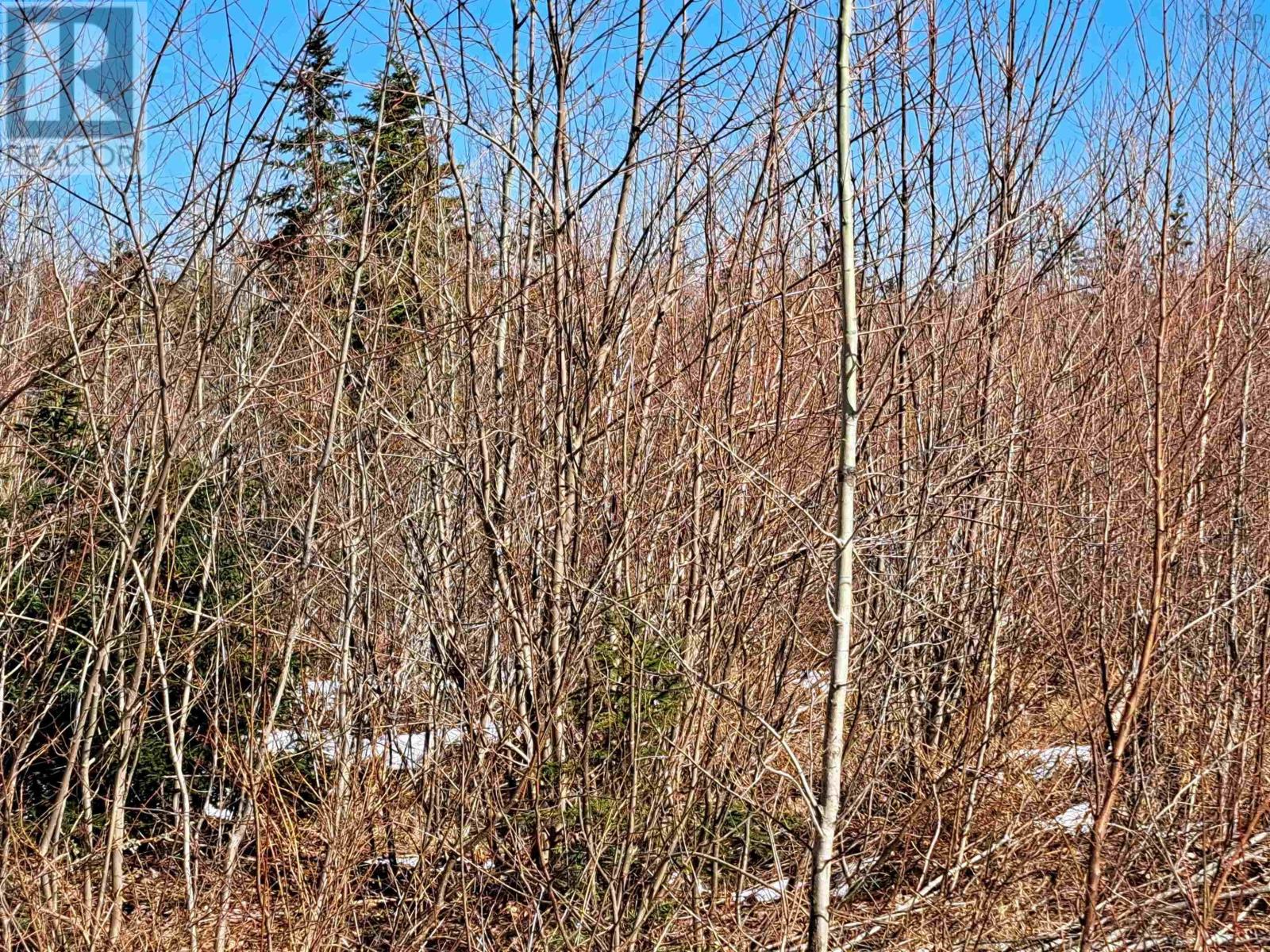 Jim Bailey Road, Keeble, Nova Scotia  B0K 1V0 - Photo 12 - 202403485