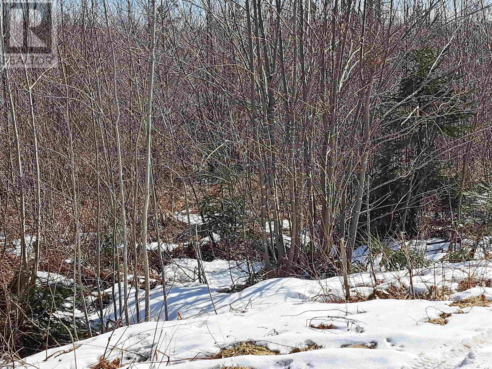 Jim Bailey Road, Keeble, Nova Scotia  B0K 1V0 - Photo 13 - 202403485