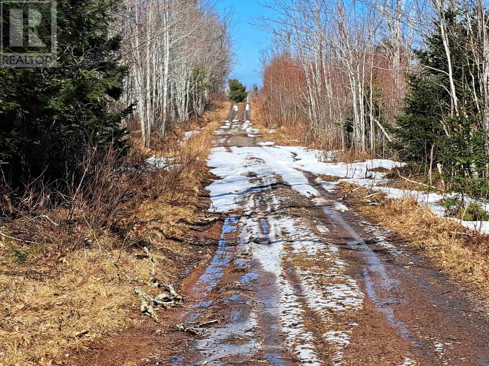 Jim Bailey Road, Keeble, Nova Scotia  B0K 1V0 - Photo 14 - 202403485