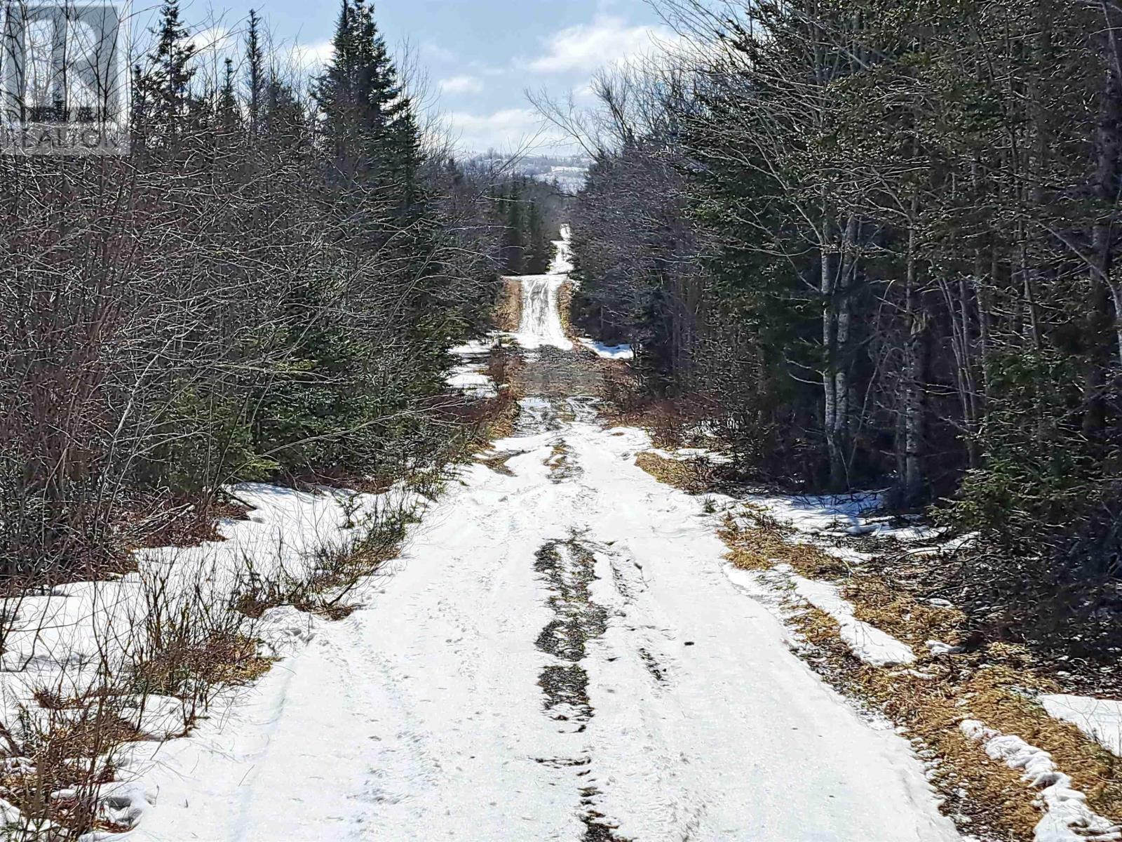 Jim Bailey Road, Keeble, Nova Scotia  B0K 1V0 - Photo 15 - 202403485