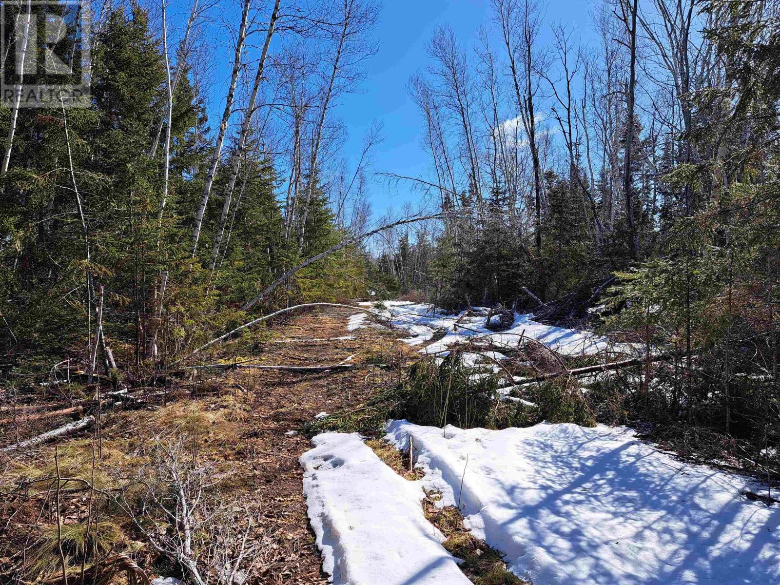 Jim Bailey Road, Keeble, Nova Scotia  B0K 1V0 - Photo 16 - 202403485