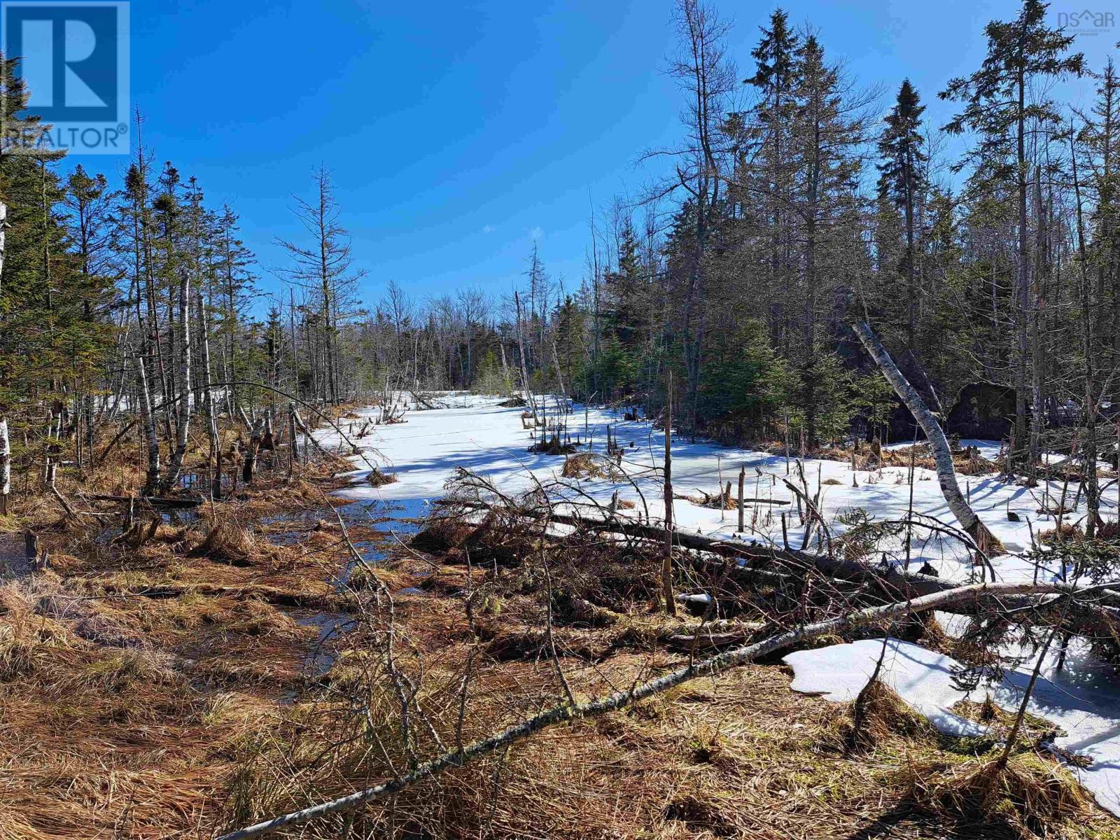 Jim Bailey Road, Keeble, Nova Scotia  B0K 1V0 - Photo 17 - 202403485