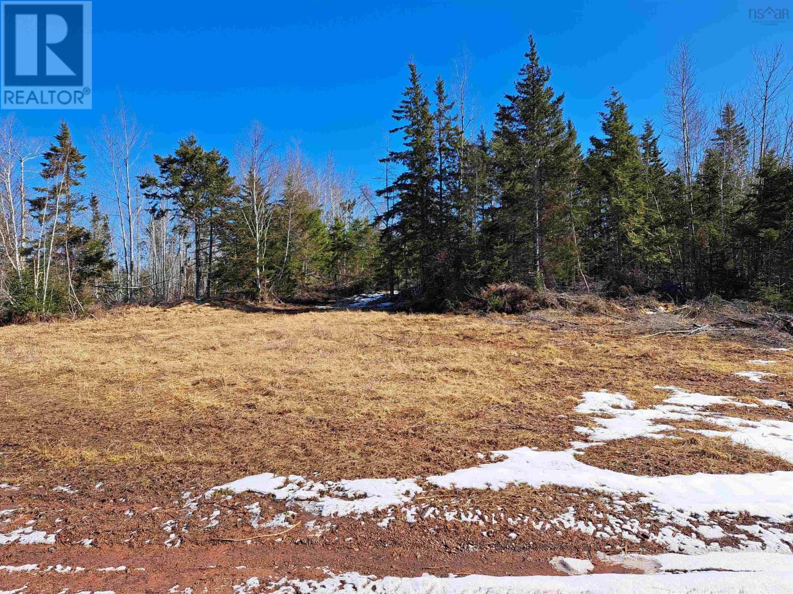 Jim Bailey Road, Keeble, Nova Scotia  B0K 1V0 - Photo 2 - 202403485