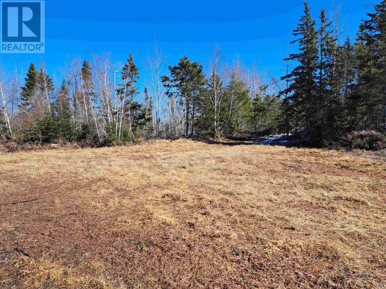 Jim Bailey Road, Keeble, Nova Scotia  B0K 1V0 - Photo 3 - 202403485