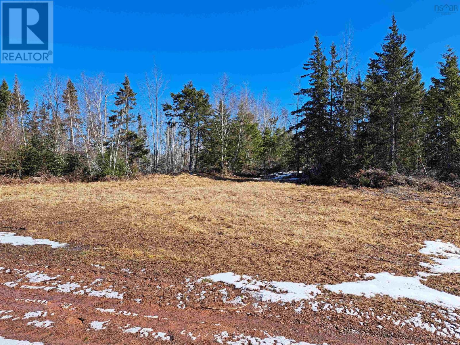 Jim Bailey Road, Keeble, Nova Scotia  B0K 1V0 - Photo 4 - 202403485