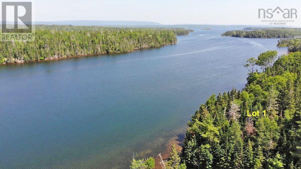 4.8 Acres Washabuck Road, Upper Washabuck, Nova Scotia  B2C 1L7 - Photo 10 - 202403540