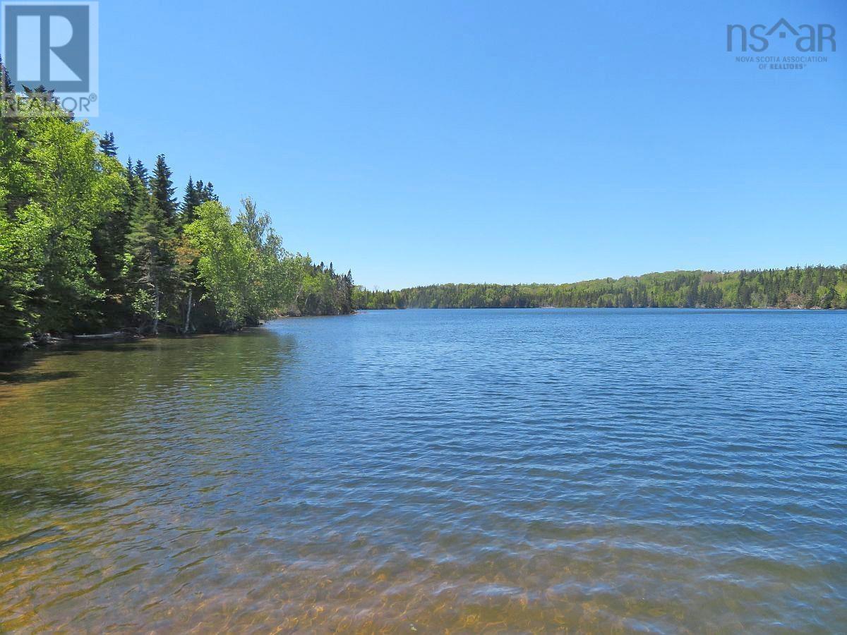 4.8 Acres Washabuck Road, Upper Washabuck, Nova Scotia  B2C 1L7 - Photo 13 - 202403540