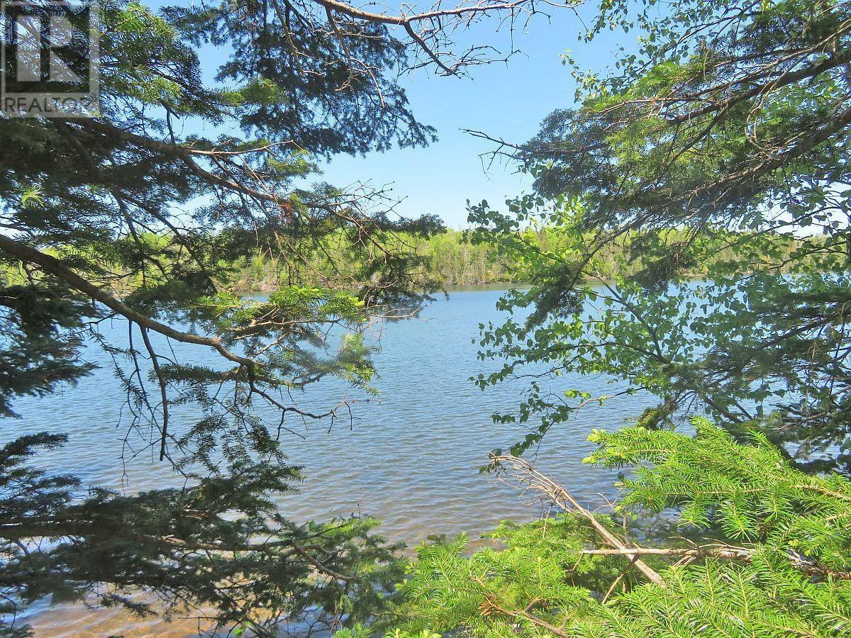 4.8 Acres Washabuck Road, Upper Washabuck, Nova Scotia  B2C 1L7 - Photo 16 - 202403540