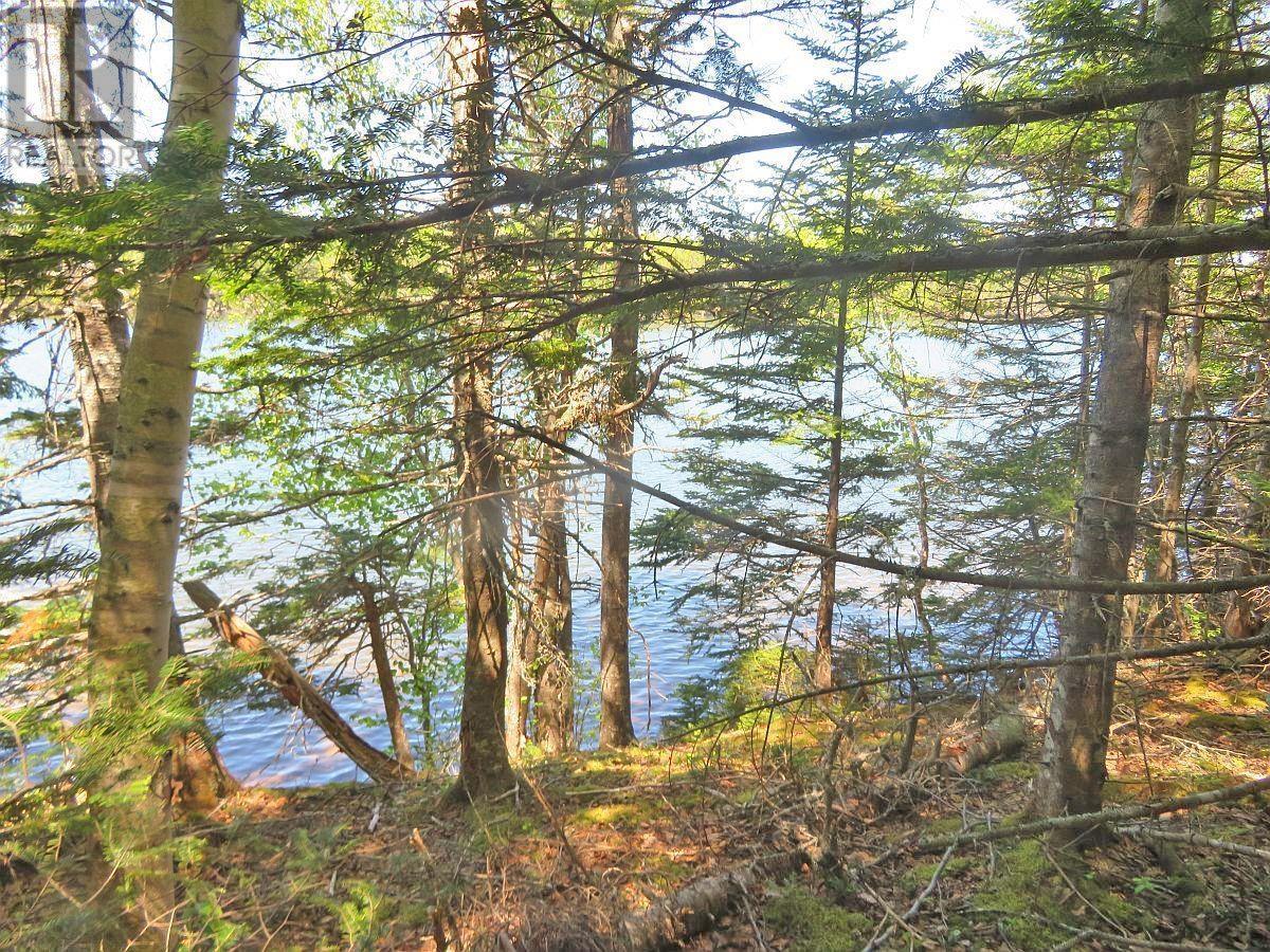 4.8 Acres Washabuck Road, Upper Washabuck, Nova Scotia  B2C 1L7 - Photo 17 - 202403540