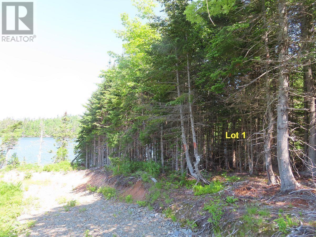 4.8 Acres Washabuck Road, Upper Washabuck, Nova Scotia  B2C 1L7 - Photo 18 - 202403540