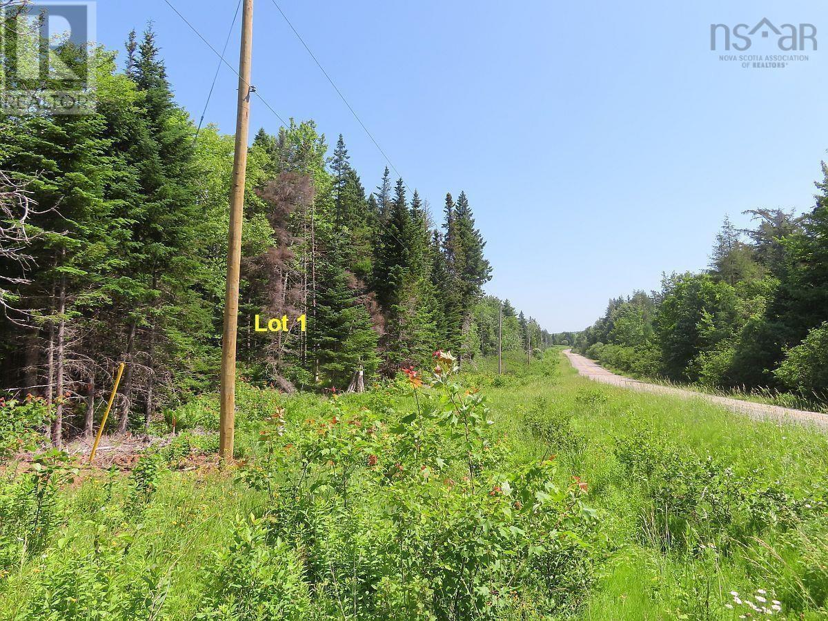 4.8 Acres Washabuck Road, Upper Washabuck, Nova Scotia  B2C 1L7 - Photo 19 - 202403540