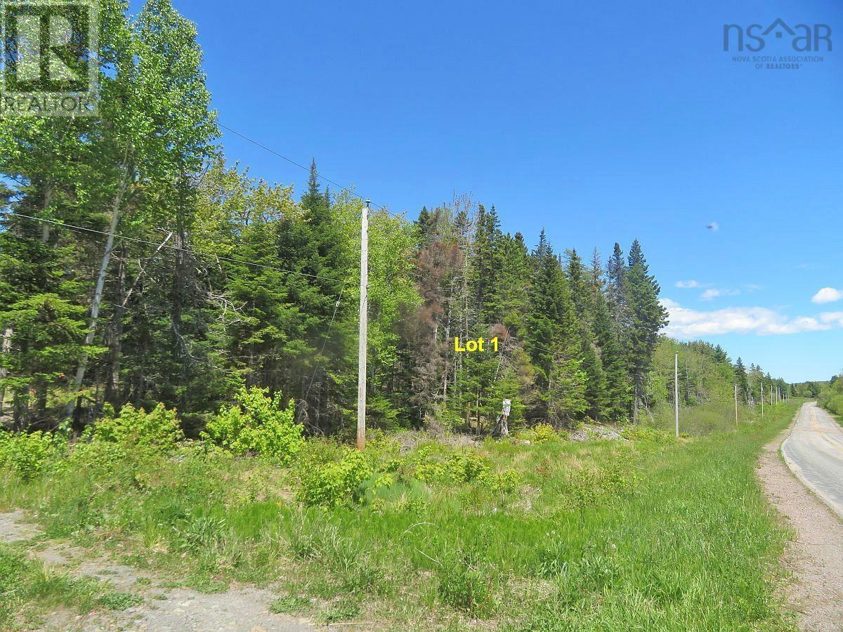 4.8 Acres Washabuck Road, Upper Washabuck, Nova Scotia  B2C 1L7 - Photo 20 - 202403540