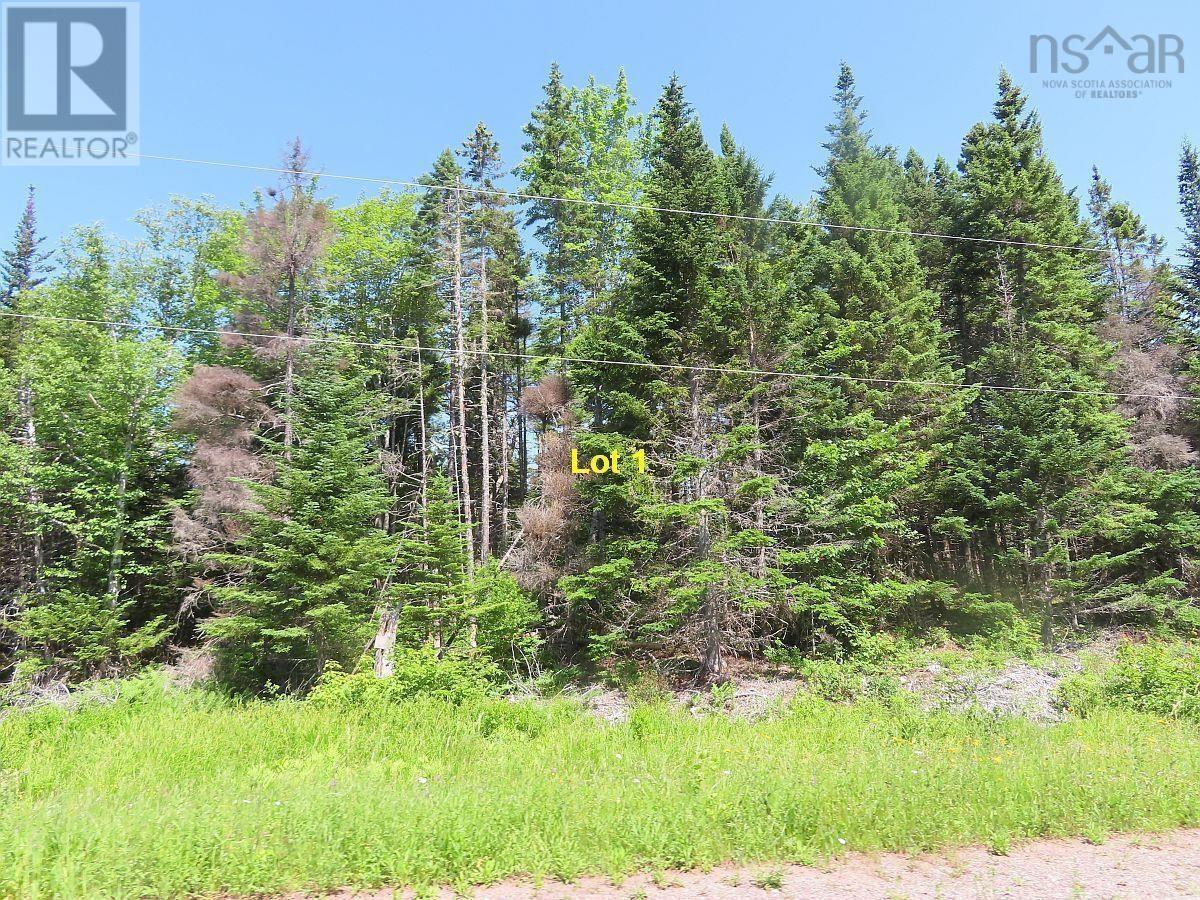 4.8 Acres Washabuck Road, Upper Washabuck, Nova Scotia  B2C 1L7 - Photo 22 - 202403540