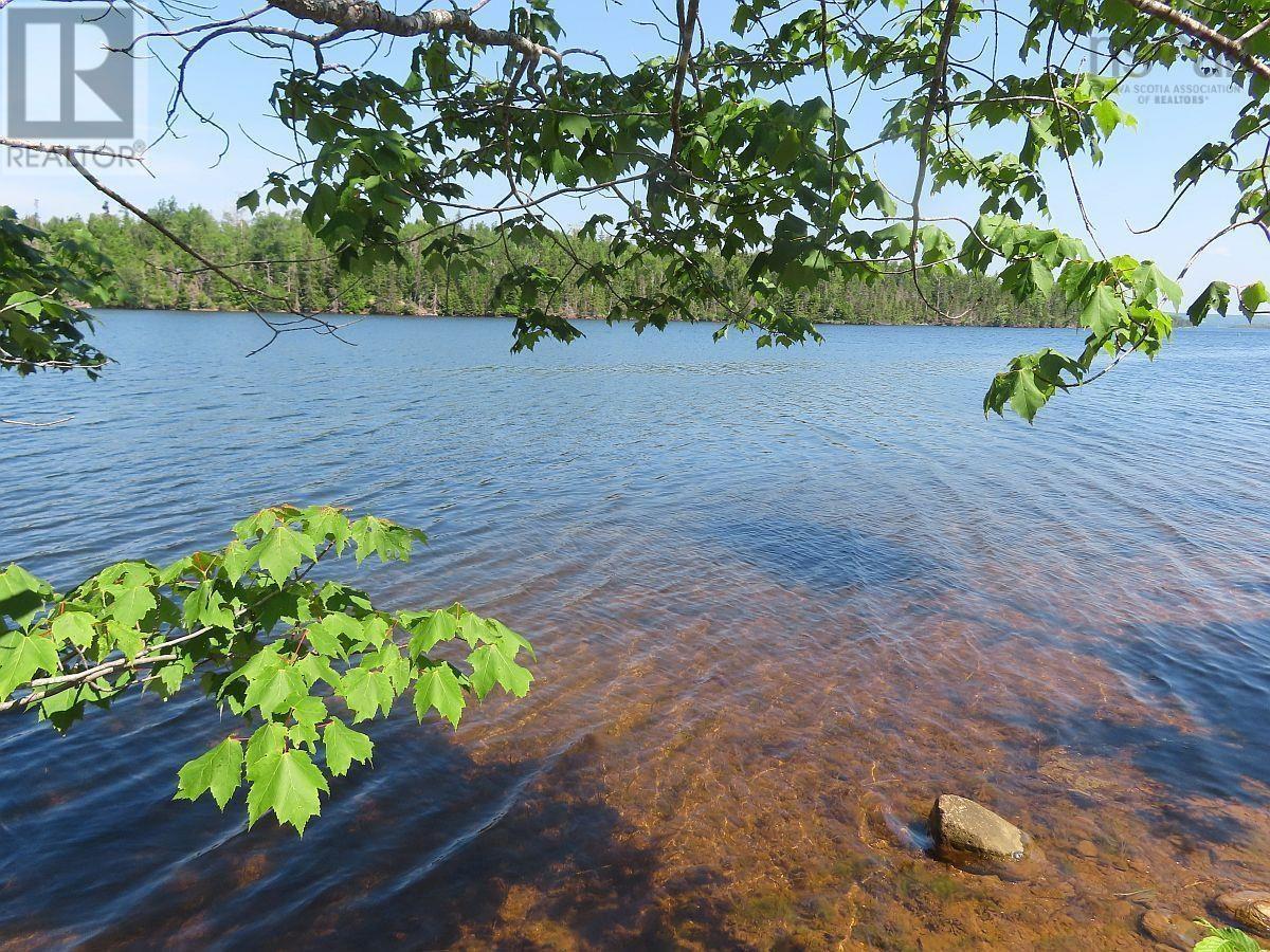 4.8 Acres Washabuck Road, Upper Washabuck, Nova Scotia  B2C 1L7 - Photo 25 - 202403540