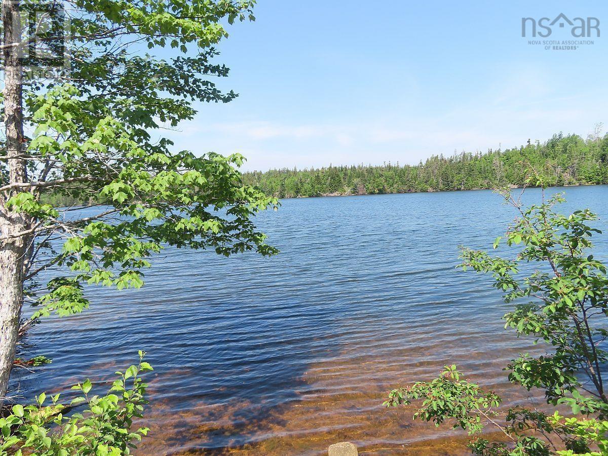 4.8 Acres Washabuck Road, Upper Washabuck, Nova Scotia  B2C 1L7 - Photo 27 - 202403540