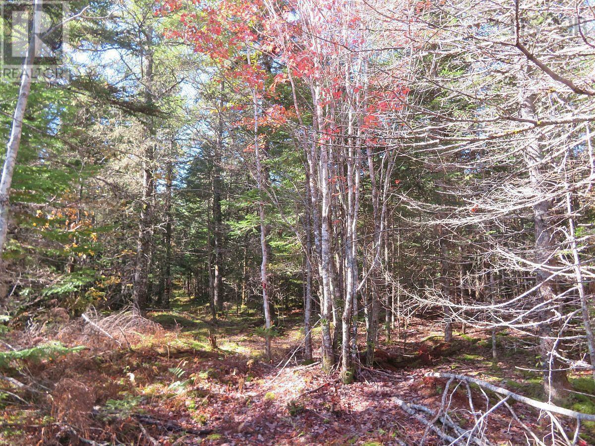 Lot5 Lower River Road, Grantville, Nova Scotia  B0E 1J0 - Photo 12 - 202403617