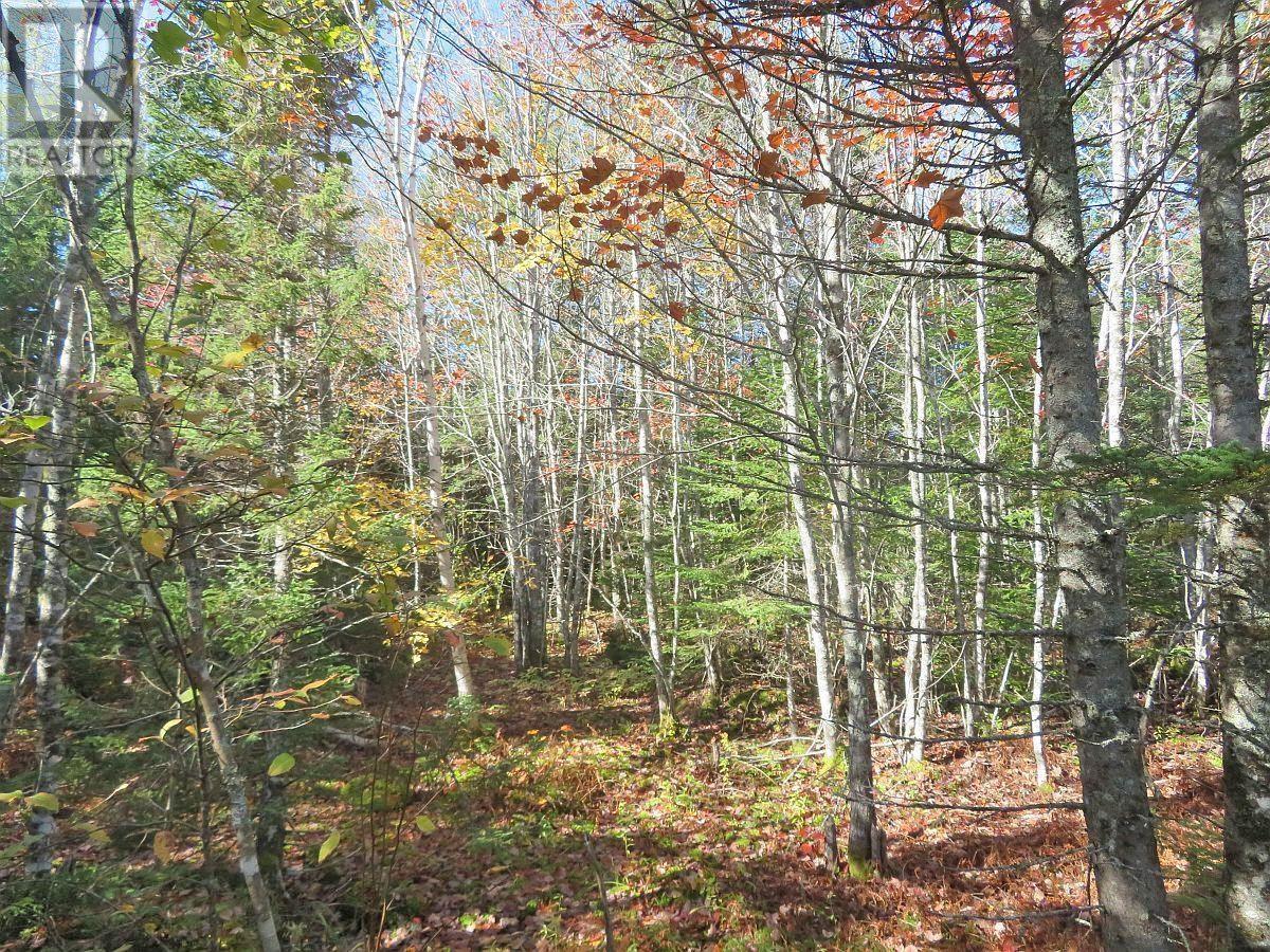 Lot5 Lower River Road, Grantville, Nova Scotia  B0E 1J0 - Photo 13 - 202403617