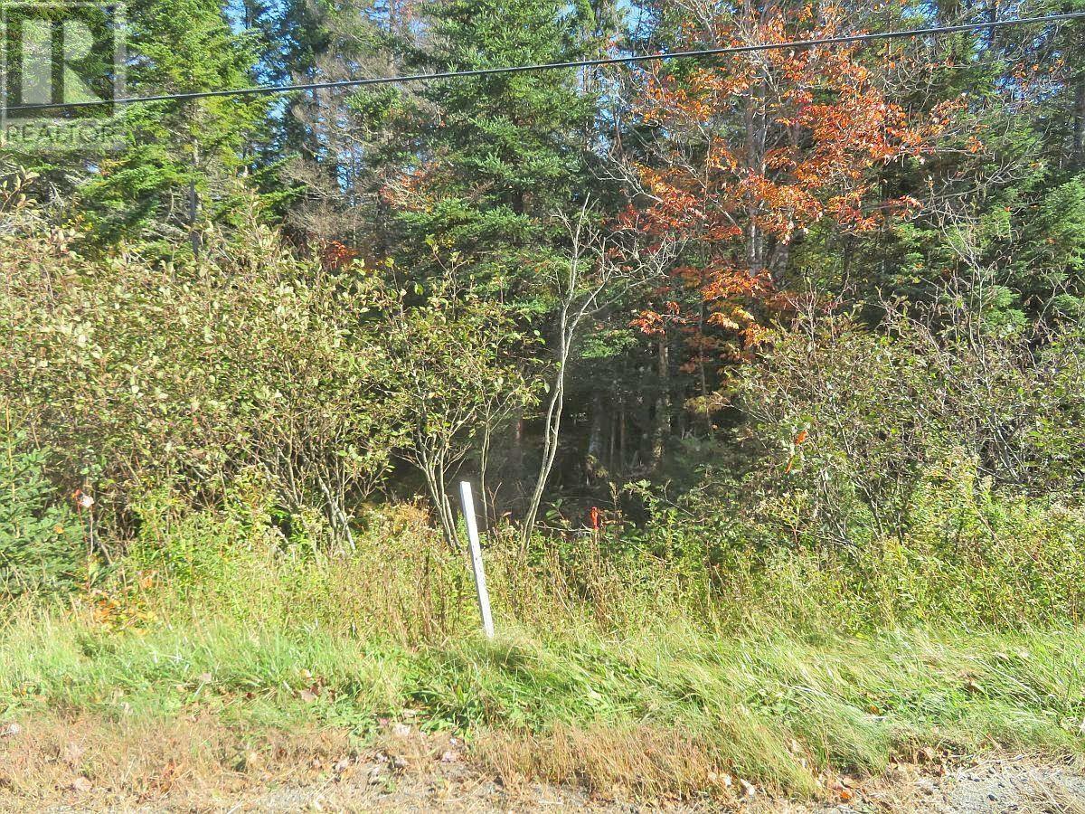 Lot5 Lower River Road, Grantville, Nova Scotia  B0E 1J0 - Photo 16 - 202403617